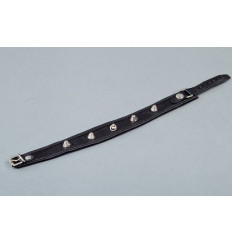 Ошейник узкий с окантовкой Ошейник узкий с окантовкой