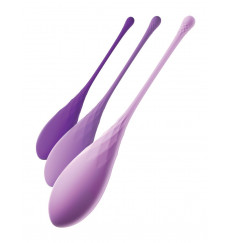 Набор из 3 фиолетовых шариков Кегеля Train-Her Set