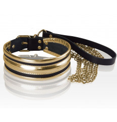 Золотисто-черный ошейник с поводком Золотисто-черный ошейник с поводком