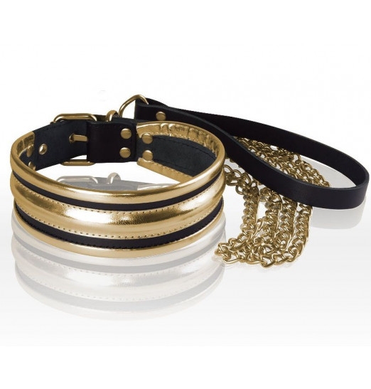 Золотисто-черный ошейник с поводком