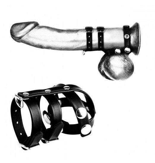 Комбинированное двойное кольцо с разделителем для мошонки и поводком Комбинированное двойное кольцо с разделителем для мошонки и поводком