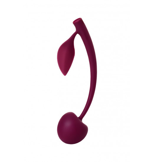 Бордовая вагинальная вишенка WILD CHERRY - 13 см.