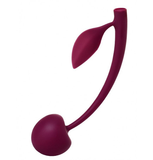 Бордовая вагинальная вишенка WILD CHERRY - 13 см.