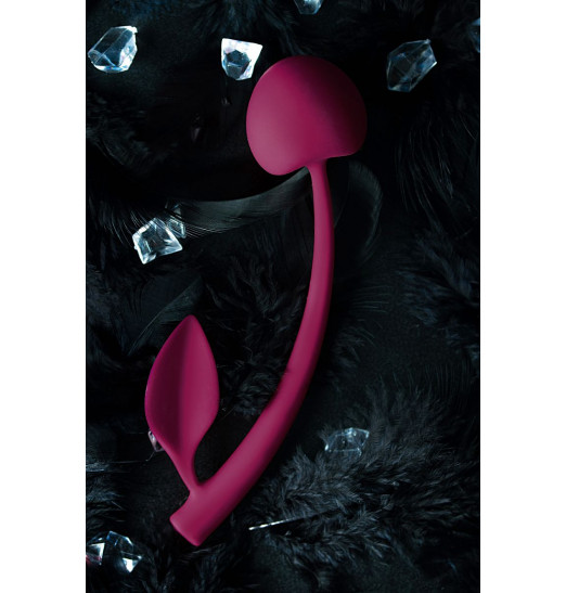 Бордовая вагинальная вишенка WILD CHERRY - 13 см.