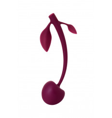 Бордовая вагинальная вишенка WILD CHERRY - 14,5 см.