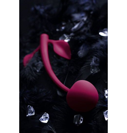 Бордовая вагинальная вишенка WILD CHERRY - 14,5 см.