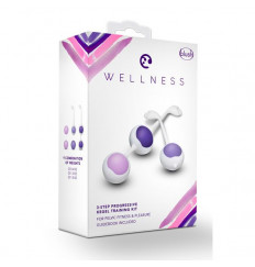 Комплект вагинальных шариков Kegel Training Kit