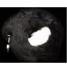 Серебристая анальная пробка с черным хвостом