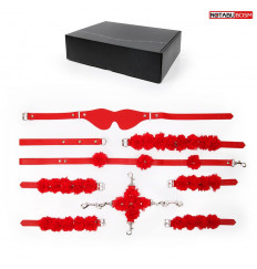 Стильный красный набор БДСМ в сумке