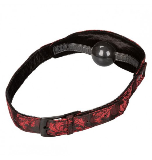 Закрытый кляп-шарик Hidden Pleasure Ball Gag