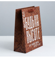 Подарочный пакет  Не чувствуй преград  - 30 х 26 см.