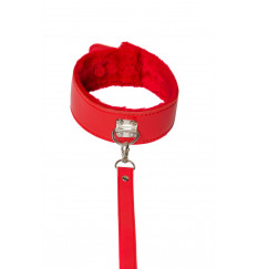 Красный ошейник Circus с поводком