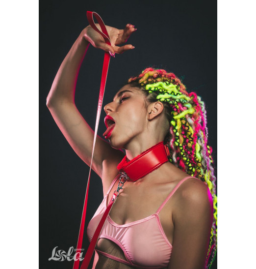 Красный ошейник Circus с поводком Красный ошейник Circus с поводком