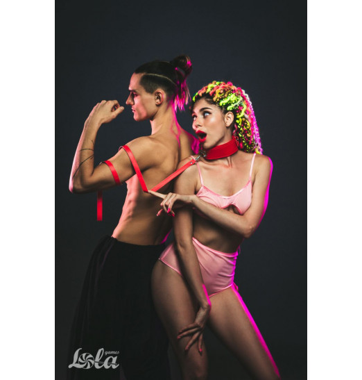 Красный ошейник Circus с поводком Красный ошейник Circus с поводком