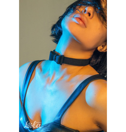 Черный ошейник Decadence с бабочкой Черный ошейник Decadence с бабочкой