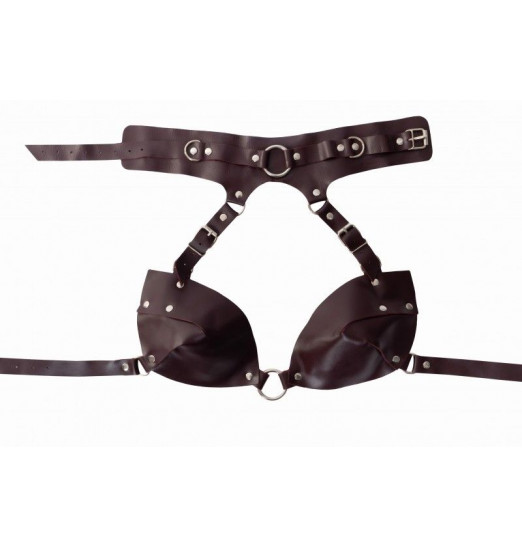 Бордовая сбруя с ошейником