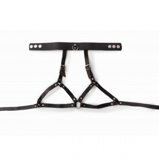 Эффектная коричневая портупея с ошейником Эффектная коричневая портупея с ошейником