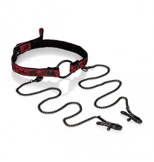 Кляп-рамка с зажимами на соски Scandal Open Mouth Gag with Clamps