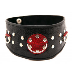 Кожаный ошейник с клепками и кольцами