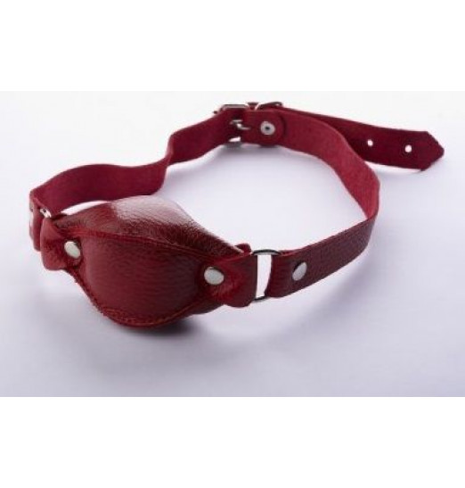 Красный кожаный кляп на регулируемых ремешках