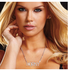 Серебристая цепочка с подвеской HORNY