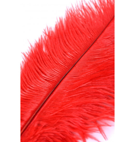 Красное страусиное пёрышко - 40 см. Красное страусиное пёрышко - 40 см.