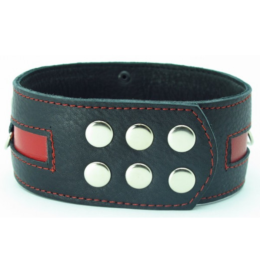 Чёрный кожаный ошейник с красной полосой и кольцами