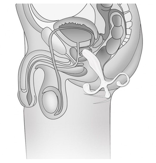 Белый массажер простаты - 12,7 см.