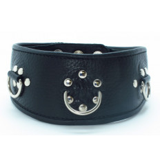 Чёрный кожаный ошейник с полукольцами и клёпками