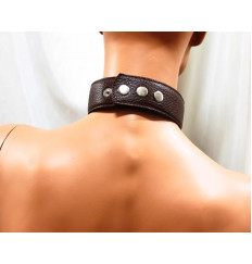 Коричневая сбруя для груди с ошейником