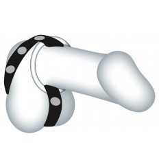 Подхват для мошонки с 3 съемными эрекционными кольцами Leder-Riemen