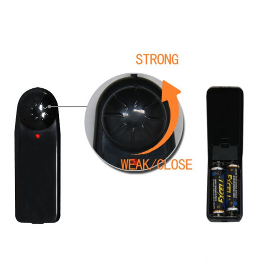 Реалистичный полый фаллоимитатор на трусиках Ultra Passionate Harness - 15 см.