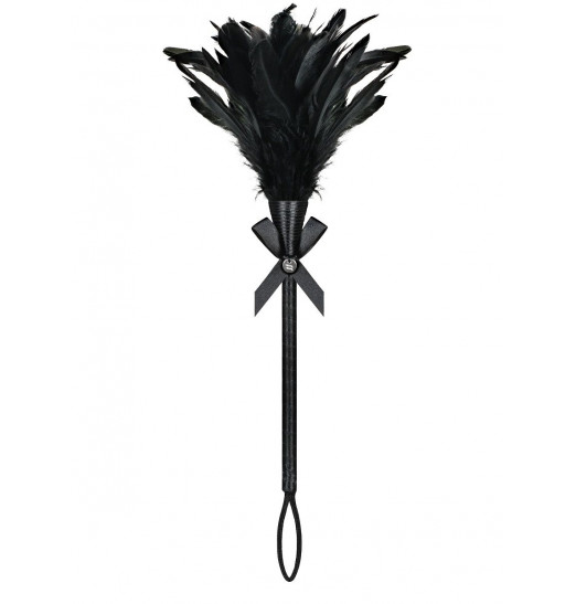 Перьевая щеточка