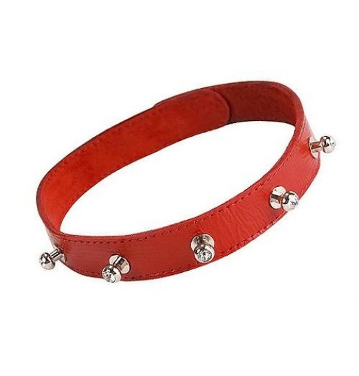 Красный кожаный ошейник с фурнитурой со стразами