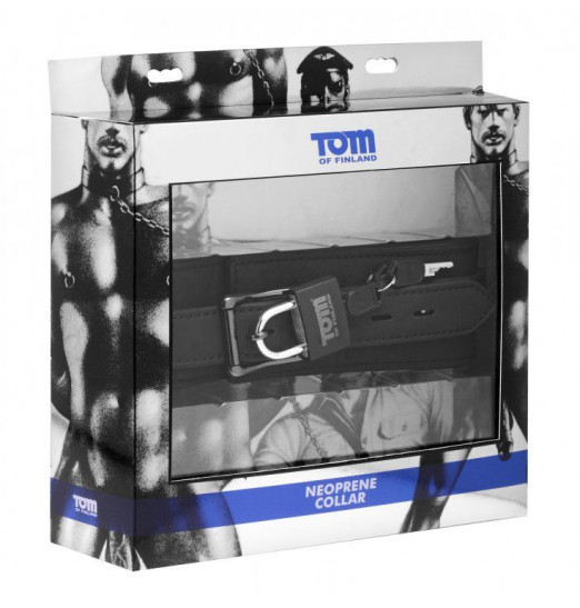 Ошейник с замком и D-кольцом