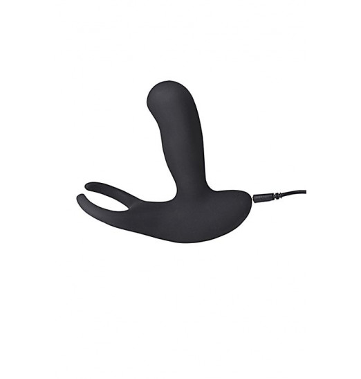 Стимулятор простаты Levett Earl с 2 моторами и пультом ДУ Стимулятор простаты Levett Earl с 2 моторами и пультом ДУ