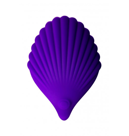 Фиолетовый вибратор для ношения в трусиках