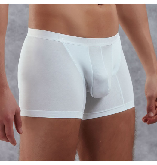 Боксеры из полупрозрачной хлопково-модальной ткани