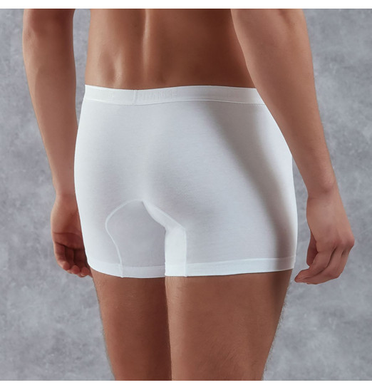 Боксеры из полупрозрачной хлопково-модальной ткани