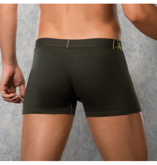 Боксеры с золотистыми контурными линиями