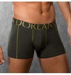 Боксеры с золотистыми контурными линиями