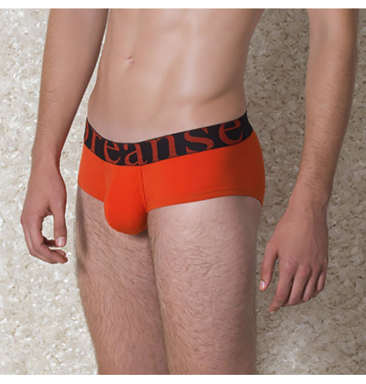 Укороченные боксеры с надписью DOREANSE на поясе