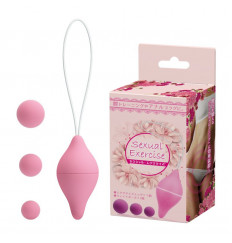 Вагинальный шарик с 3 сменными грузиками Sexual Exercise