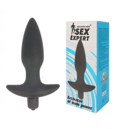 Анальная пробка Sex Expert с вибрацией - 10,5 см.