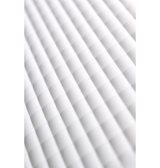 Контейнер для обработки Rosa Rugosa Security Knight Q3