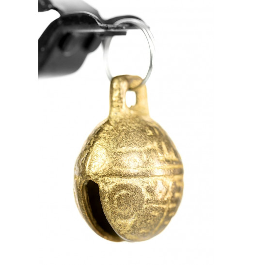 Черно-золотистые зажимы для сосков TOYFA Theatre