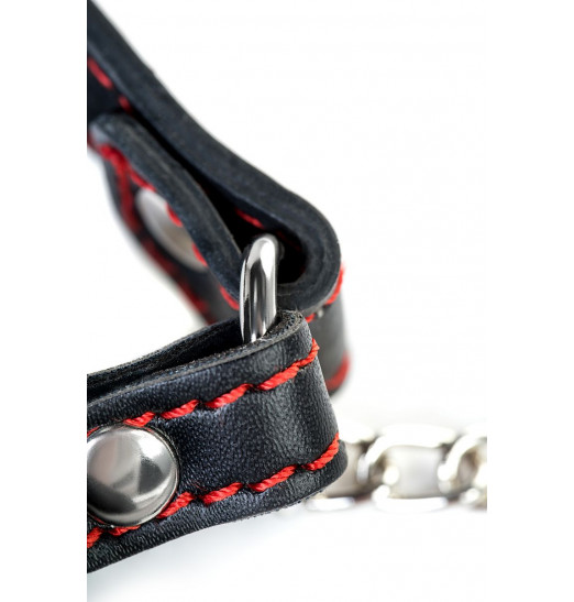 Красный кляп-трензель Theatre в виде косточки с зажимами для сосков