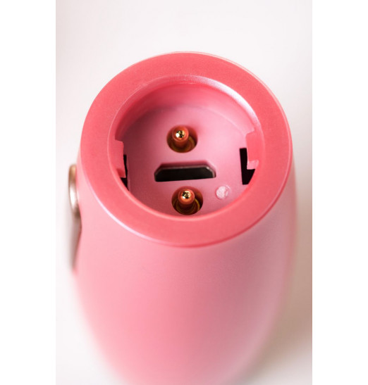 Розовый вибратор Le Stelle PERKS SERIES EX-3 с двумя сменными насадками