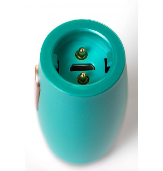 Нереалистичный вибратор Le Stelle PERKS SERIES EX-4 с 2 сменными насадками