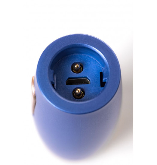 Синий вибратор Le Stelle PERKS SERIES EXC с 2 сменными насадками